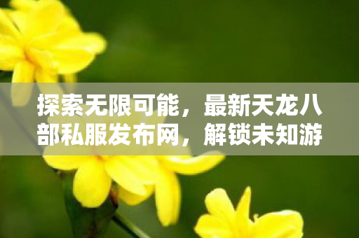 最新天龙八部私服发布网图片
