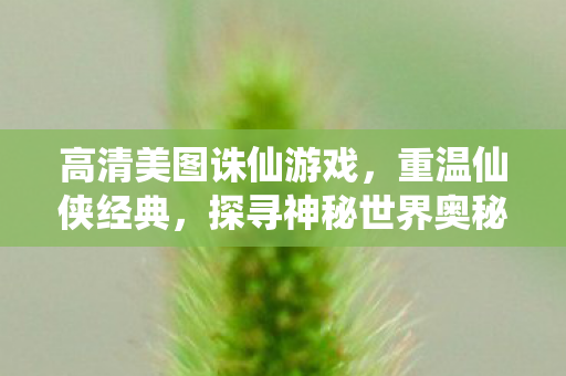 高清美图诛仙游戏图片