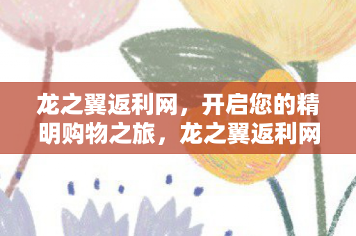 龙之翼返利网，开启您的精明购物之旅，龙之翼返利网，精明购物新选择