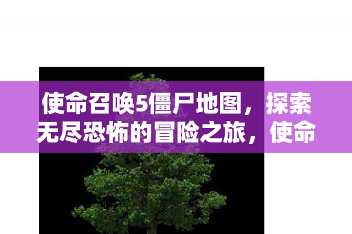 使命召唤5僵尸地图,探索无尽恐怖的冒险之旅,使命召唤5僵尸地图,无尽恐怖的冒险之旅 使命召唤5僵尸地图,探索无尽恐怖的冒险之旅,使命召唤5僵尸地图,无尽恐怖的冒险之旅