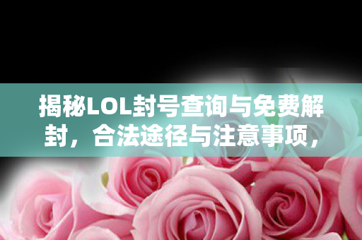 揭秘LOL封号查询与免费解封的合法途径与注意事项图片
