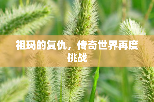 传奇世界再度挑战图片