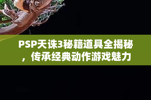 PSP天诛3秘籍道具全揭秘图片