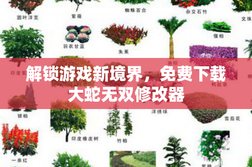 免费下载大蛇无双修改器图片