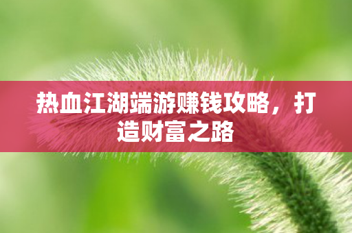 热血江湖端游赚钱攻略，打造财富之路