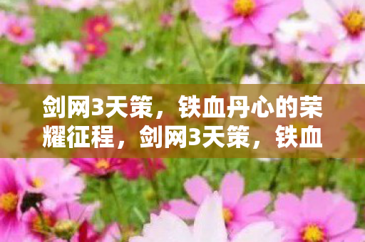 铁血丹心的荣耀征程图片