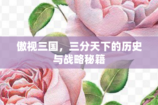 三分天下的历史与战略秘籍图片