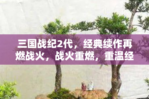 经典续作再燃战火图片