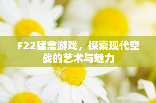探索现代空战的艺术与魅力图片