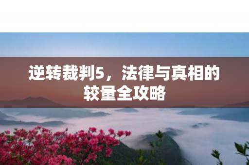 法律与真相的较量全攻略图片