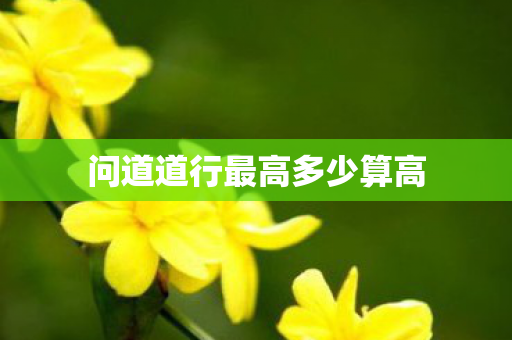 问道道行最高多少算高图片