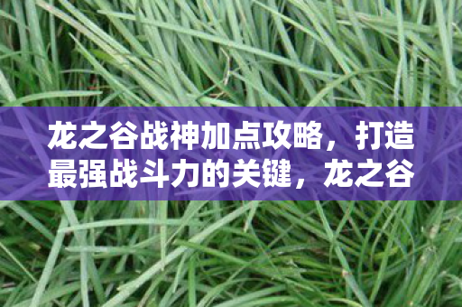 打造最强战斗力的关键图片
