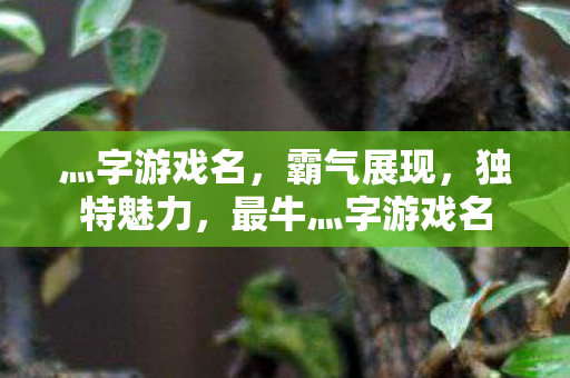 灬字游戏名,霸气展现,独特魅力,最牛灬字游戏名 灬字游戏名,霸气展现,独特魅力,最牛灬字游戏名