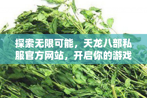 天龙八部私服官方网站图片