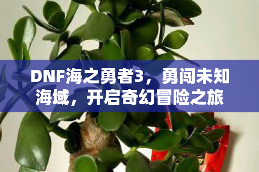DNF海之勇者3图片