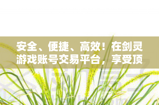 在剑灵游戏账号交易平台图片