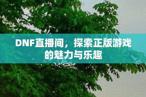 DNF直播间,探索正版游戏的魅力与乐趣 DNF直播间,探索正版游戏的魅力与乐趣