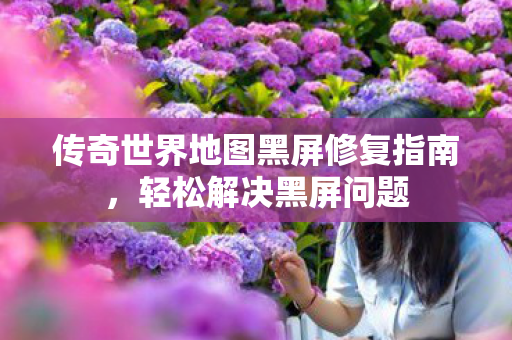 传奇世界地图黑屏修复指南图片