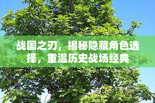 揭秘隐藏角色选择图片