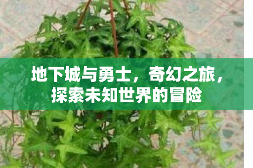 探索未知世界的冒险图片