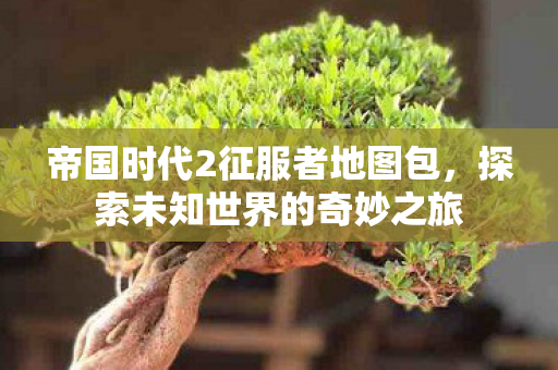 帝国时代2征服者地图包图片