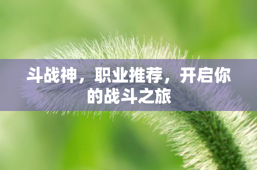 开启你的战斗之旅图片