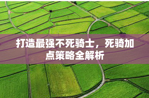 死骑加点策略全解析图片