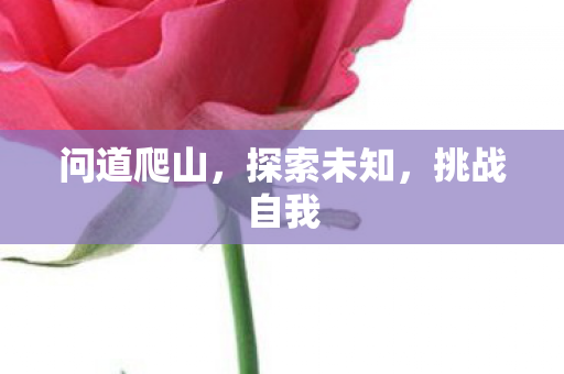 问道爬山图片