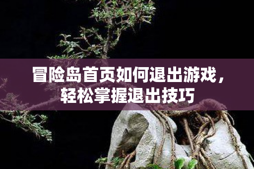 冒险岛首页如何退出游戏图片