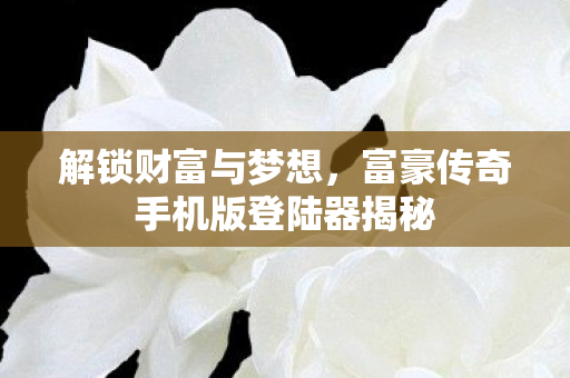 富豪传奇手机版登陆器揭秘图片