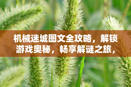 机械迷城图文全攻略图片