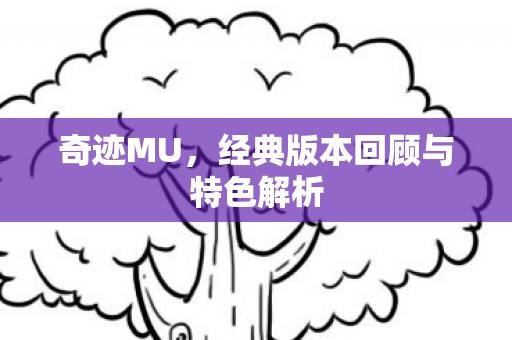 经典版本回顾与特色解析图片