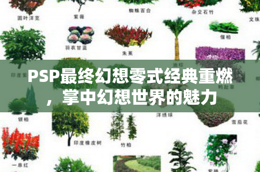 PSP最终幻想零式经典重燃，掌中幻想世界的魅力