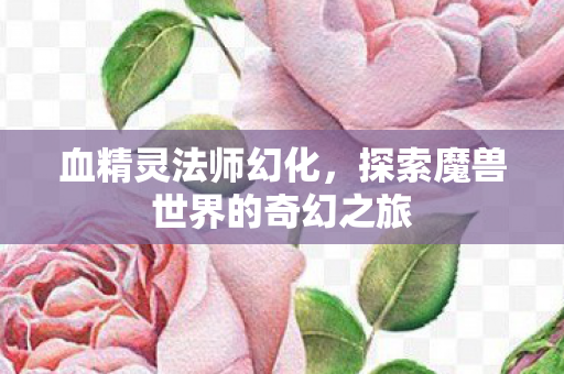 血精灵法师幻化,探索魔兽世界的奇幻之旅 血精灵法师幻化,探索魔兽世界的奇幻之旅