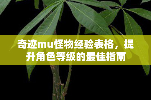 提升角色等级的最佳指南图片