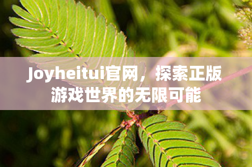 探索正版游戏世界的无限可能图片
