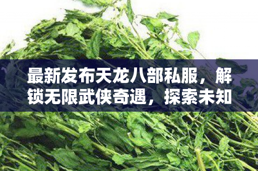最新发布天龙八部私服,解锁无限武侠奇遇,探索未知江湖! 最新发布天龙八部私服,解锁无限武侠奇遇,探索未知江湖!
