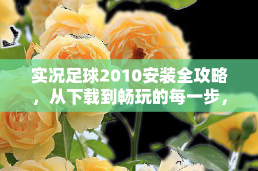 实况足球2010安装全攻略图片