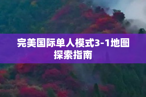 完美国际单人模式3图片