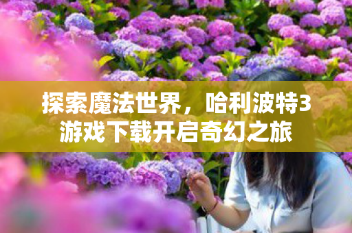 哈利波特3游戏下载开启奇幻之旅图片