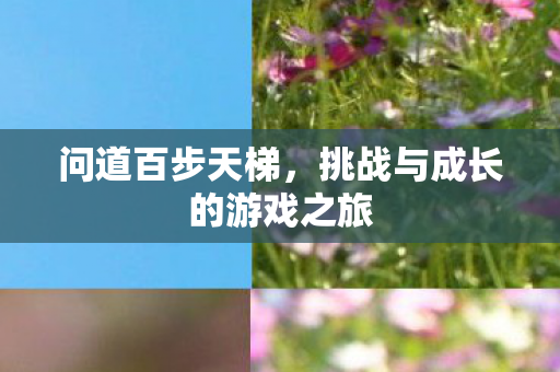 挑战与成长的游戏之旅图片
