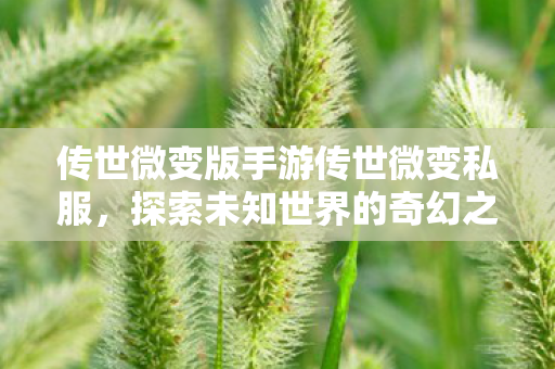 传世微变版手游传世微变私服,探索未知世界的奇幻之旅,传世微变私服,探索未知世界的奇幻之旅 传世微变版手游传世微变私服,探索未知世界的奇幻之旅,传世微变私服,探索未知世界的奇幻之旅