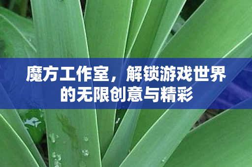 解锁游戏世界的无限创意与精彩图片