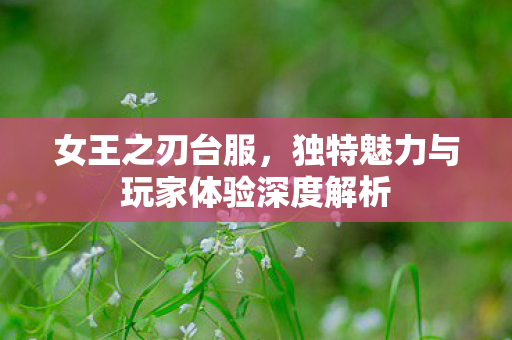 独特魅力与玩家体验深度解析图片