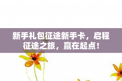 新手礼包征途新手卡图片