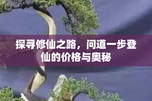问道一步登仙的价格与奥秘图片