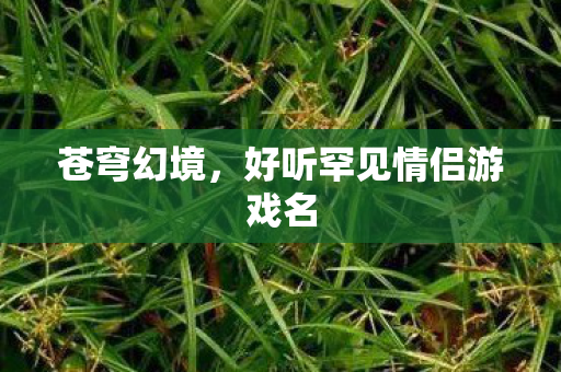好听罕见情侣游戏名图片