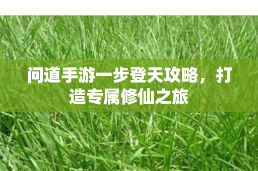 问道手游一步登天攻略图片