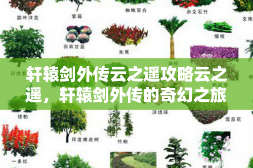 轩辕剑外传云之遥攻略云之遥图片