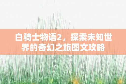 白骑士物语2，探索未知世界的奇幻之旅图文攻略